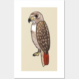 Red Tailed Hawk - Cartoon Posters and Art